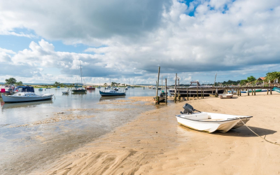 Saveurs marines du bassin d’arcachon, joyau ostréicole authentique