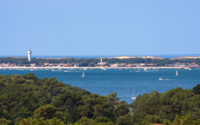 Émerveillement iodé au cœur des huîtres d’Arcachon et secrets marins