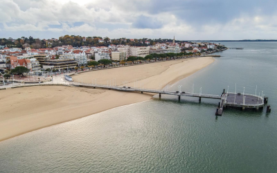 Huîtres d’arcachon perles salées du bassin au goût absolument inoubliable