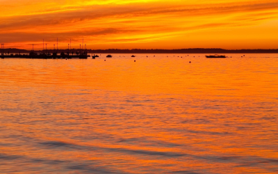 Les secrets gourmands des huîtres d’arcachon et de son bassin
