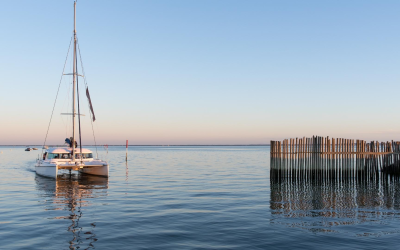 Trésor iodé d’arcachon : huîtres d’exception face à la dune