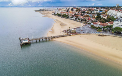 Huîtres d’arcachon : trésor iodé du bassin mondialement prisé